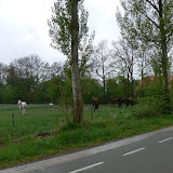  &ndash;  &ndash; 01-May-2010
