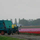  &ndash;  &ndash; 01-May-2010