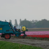  &ndash;  &ndash; 01-May-2010