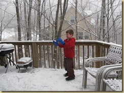 IMG_4987 IMG_4987