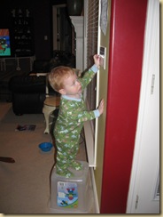 IMG_4669 IMG_4669