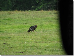 IMG_6048 IMG_6048