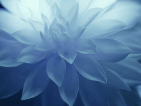 adagio.jpg adagio.jpg