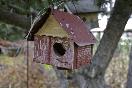 [birdhouse_ani[3].gif]