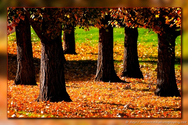 [_DSC6899-Edit_frame[16].jpg]