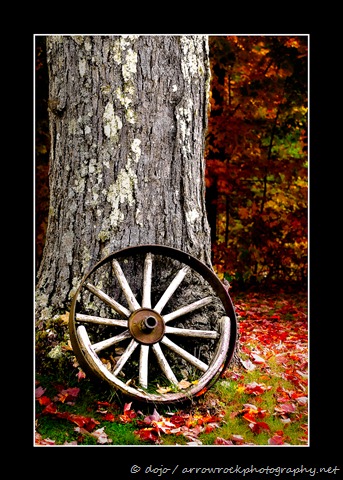 [wheel-6256[12].jpg]
