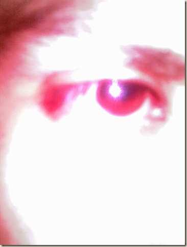 Im.1167 Im.1167