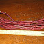 Beans, Pole: Red Noodle