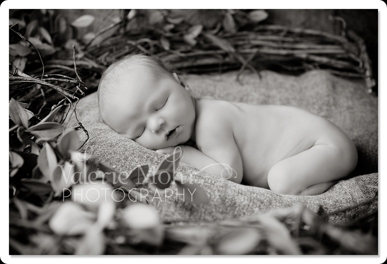 wm_051810_1554_bw_005