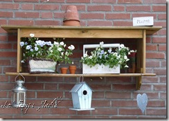 tuin mei 2009 028
