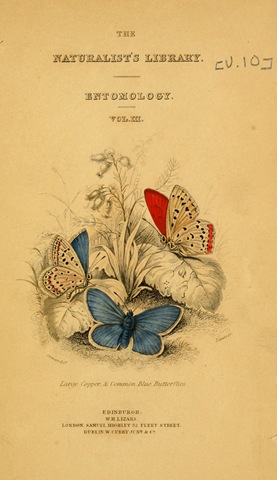 [Butterflies-Natural-History-of-BRitish-Butterflies-Plate-00[2].jpg]