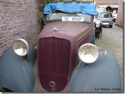 herfstwandeling 008