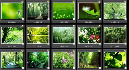 Cool-Green-Nature-Wallpapers-Collection