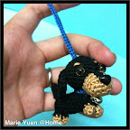 Miniature Dachshund in black