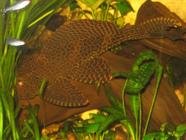 [8f_0113.jpg]