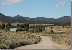 Pinto Road
