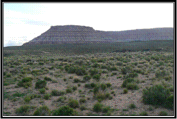 [clip_image0193.gif]