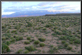 [clip_image0213.gif]