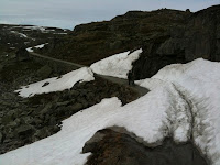 IMG_1299.jpg Photo