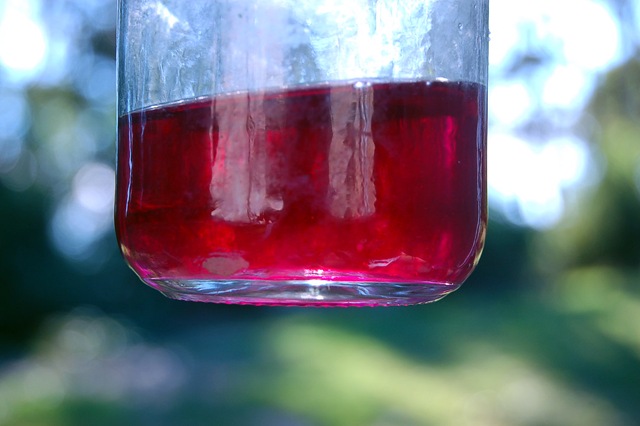 [red cabbage dye liquid 1[4].jpg]