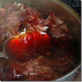 onion skin water