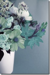 Mitty's flowers 4