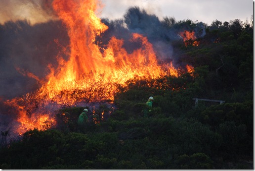 Controlled Burn Discovery Walk 28