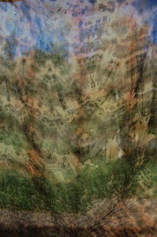 [over dyed wrapped around old iron peg through window[6].jpg]