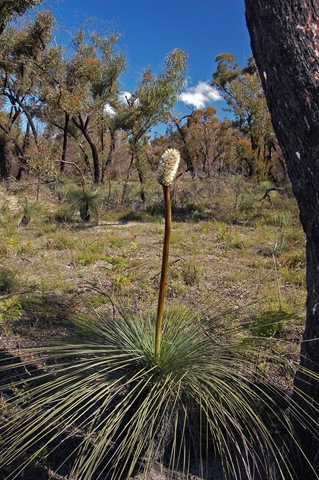 [Grampians 7[4].jpg]