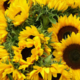 2008.07.09 016.jpg