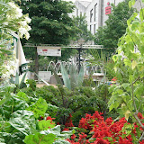 2008.07.03 010.jpg