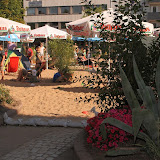 HS_20100718_Guido_Kraut_IMG_1361.jpg