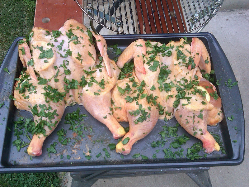 IMG00048-20100519-1727.jpg