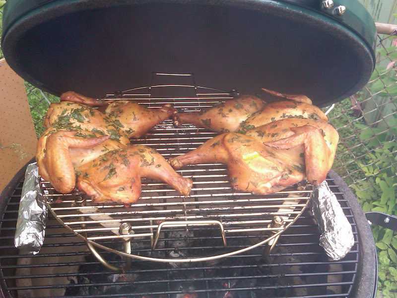 IMG00049-20100519-1831.jpg