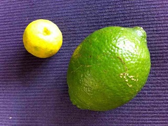 lime and key lime