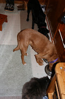 IMG_2457.jpg