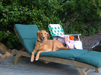 DSCF2337.JPG