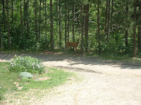 2003_0613_133820AA.JPG