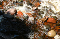 Grand Marais 043.JPG
