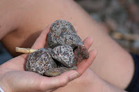 Grand Marais 161.JPG