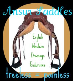 Ansur Saddles