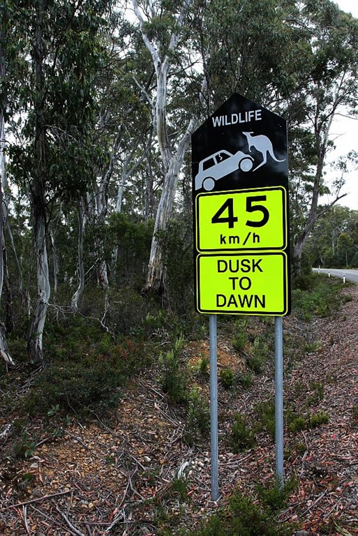 [100103_LakeStClairNPTasmania_02_sm3.jpg]