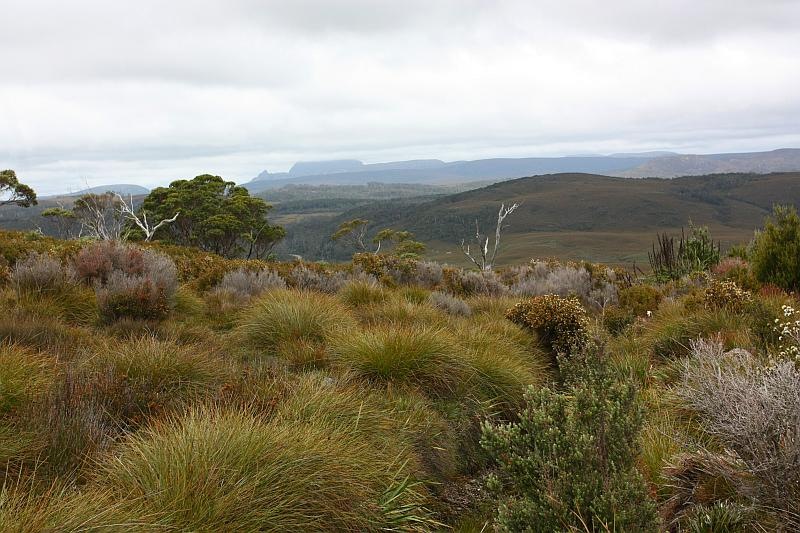 [100105_ValeofBeauvoirKentishTasmania.jpg]