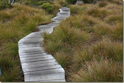 Hike to Marions Lookout, Cradle Mountain NP, Tasmania