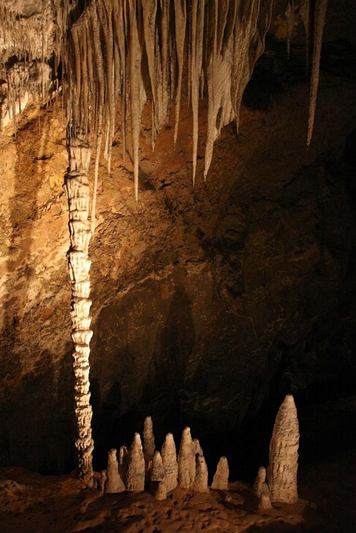 [100107_MarakoopaCaveMoleCreekTasmani[7].jpg]