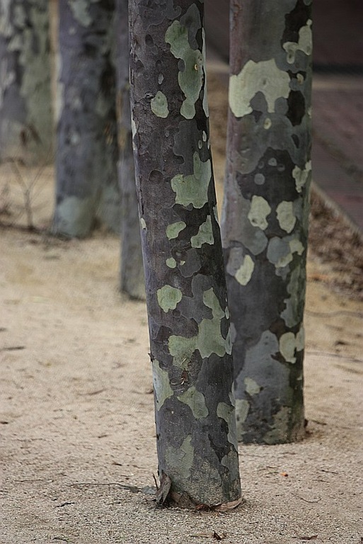 [100115_Darling Harbor, Sydney_76_sm[3].jpg]