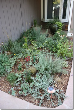 080913_front_yard_garage_side