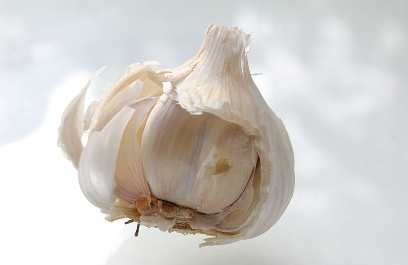 [101126_garlic[5].jpg]