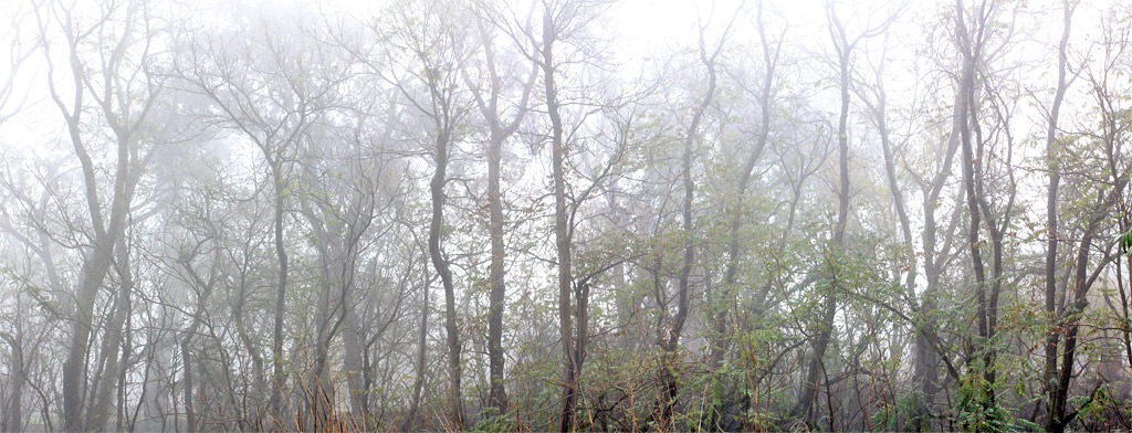 [101205_fog_greenbelt_panorama[7].jpg]