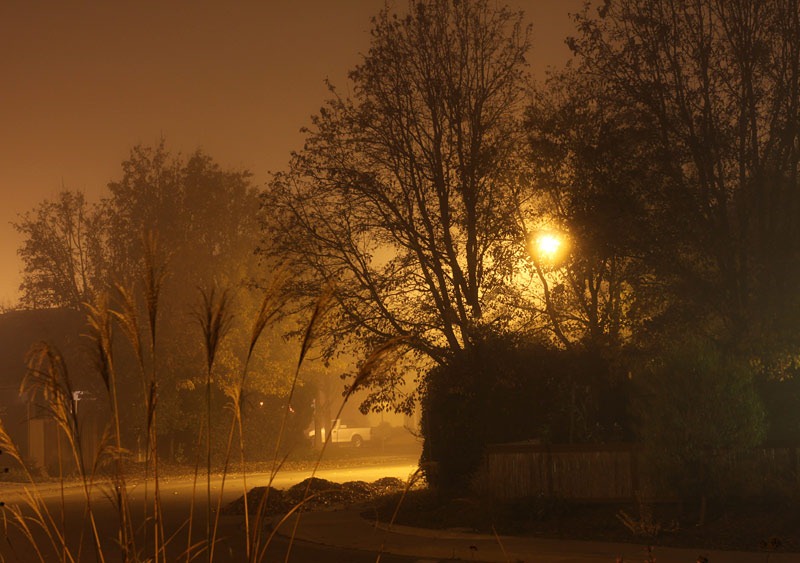 [101211_nocturne5[2].jpg]